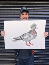 Image 2 of SID "PUNK" PIGEON