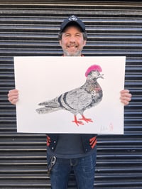 Image 1 of SID "PUNK" PIGEON