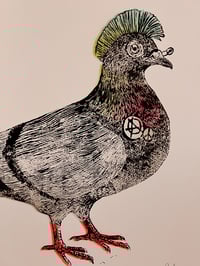 Image 7 of SID "PUNK" PIGEON