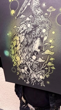 Image of The Pelican