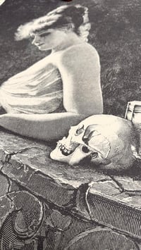 Image of MEMENTO MORI