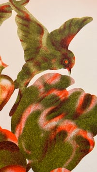 Image 2 of The powerful trinity of freedom, growth and love