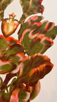 Image 5 of The powerful trinity of freedom, growth and love