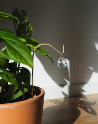 Image 2 of  Atrapaluces Brote S y L