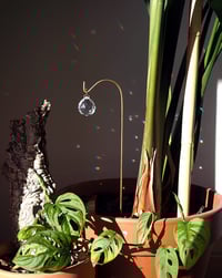 Image 4 of  Atrapaluces Brote S y L