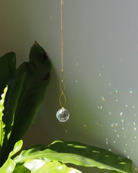 Image 3 of Atrapaluces Destello