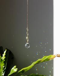 Image 1 of Atrapaluces Destello