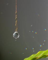 Image 4 of Atrapaluces Destello