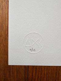 Image 6 of Buzz The Punk Budgie