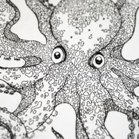 Image 4 of Octopus vulgaris