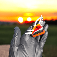 Image 1 of Chameleon skull pendant 