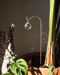 Image 7 of  Atrapaluces Brote S y L