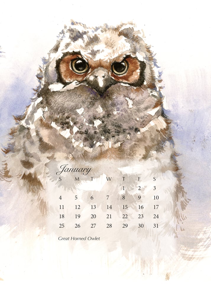 Image of 2026 Watercolor Bird Calendar – Pre-Sale!