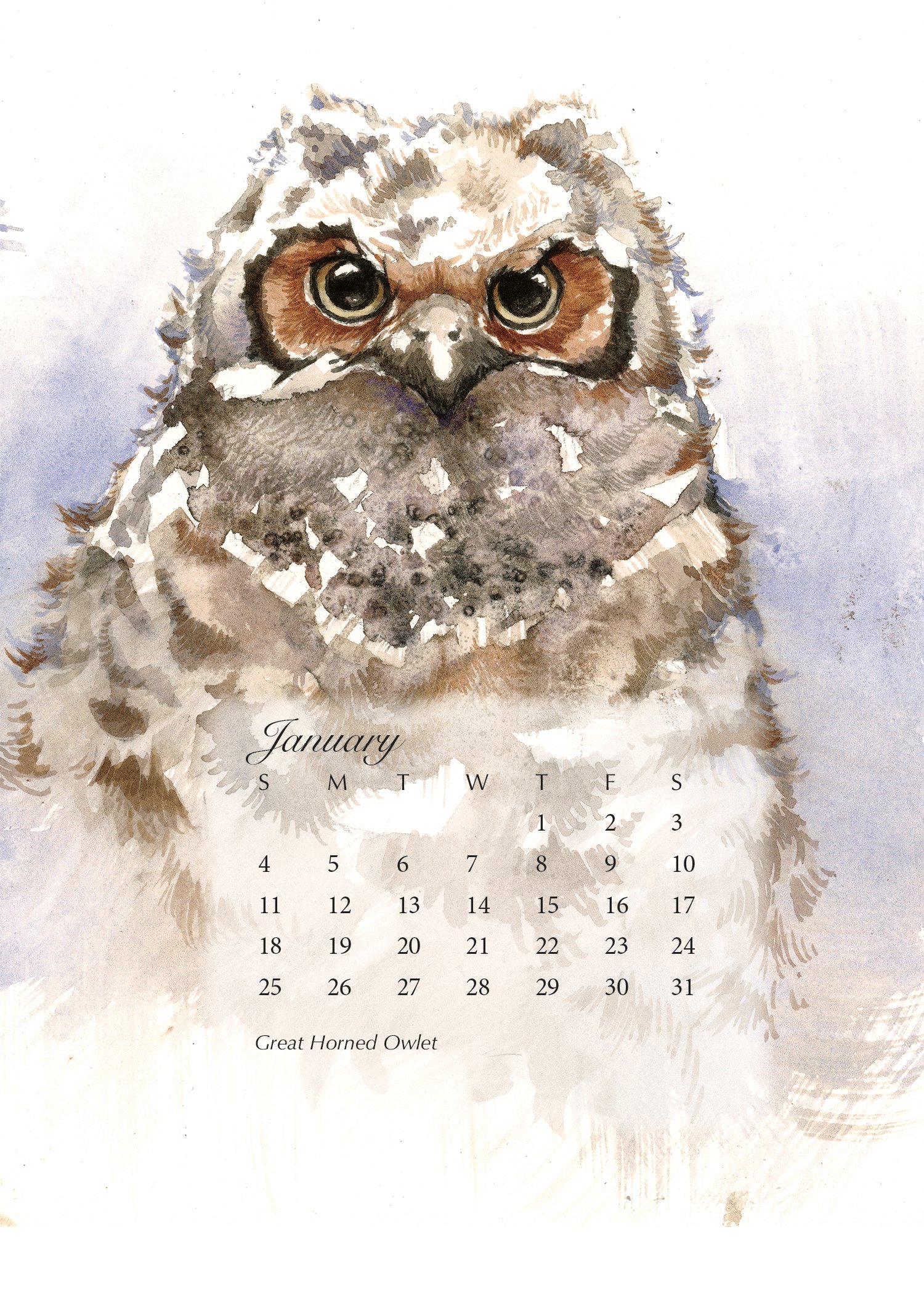 Image of 2026 Watercolor Bird Calendar