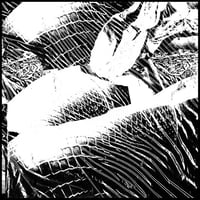 Image 1 of Anonymous Masturbaudioum - Fetish Vortex