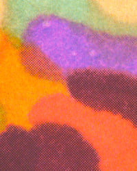 Image 2 of Dawn in the field