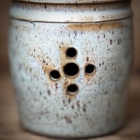 Image 5 of Blue Garlic Keeper