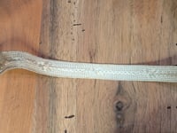 Image 6 of Ganses anciennes