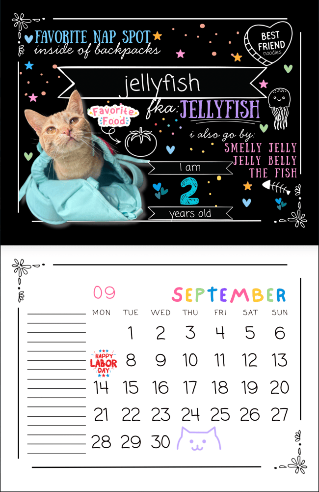 2026 Community Cats Calendar