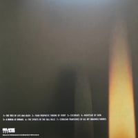 Image 3 of Disembowelment "Transcendence into the Peripheral" 2x12"  