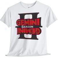 Image 1 of GEMINI SEASON