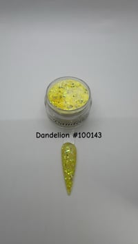 Dandelion 
