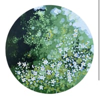 Image 1 of "Flowers Abound"