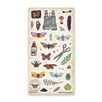 Image 1 of Wings & Wonders Sticker Sheet