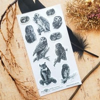 Image 2 of Woodland Watchers Sticker Sheet