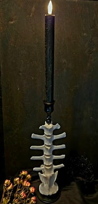 Image 2 of Deer Vertebrae Candlestick #5