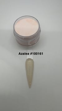 Azalea