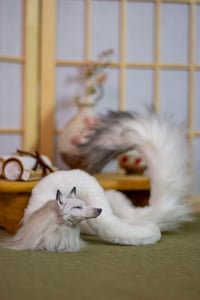 Image 7 of Patreon exclusive listing. Kudagitsune [PREORDER]