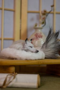 Image 12 of Patreon exclusive listing. Kudagitsune [PREORDER]