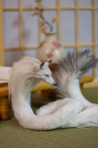 Image 3 of Kudagitsune [PREORDER]