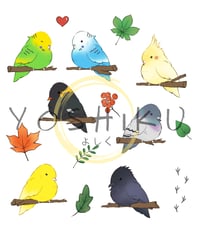 Image 2 of Copy of Chickens Sticker Sheet