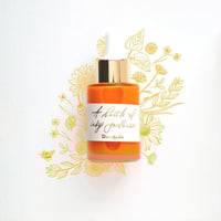 Tom's Studio Calligraphy Ink (Sunflower)