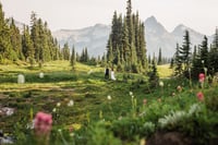 Image 5 of August 5, 2025 - Mt. Rainier Wildflower Elopement with Small Hike