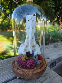 Image 1 of Deer Sacrum Cloche