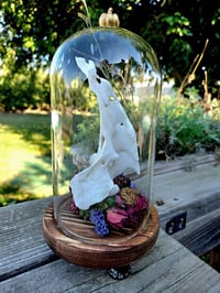 Image 3 of Deer Sacrum Cloche