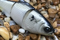 Image 2 of Custom Airbrushed BULL SHAD 9732