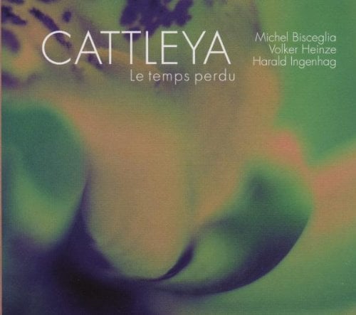 Image of Cattleya - Le temps perdu revisited // 28.12.2025