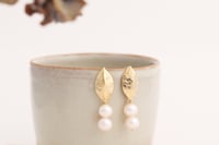 Image 1 of Earrings No.427