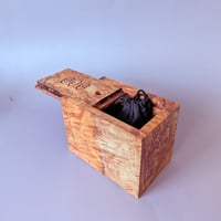 Image 2 of A Box of Seven Devils - Figured Maple Burl with Walnut Tiles