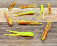 2" BA Split Tail - CopperTreuse