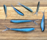 2.5" Skinny Minnow - Sting Ray