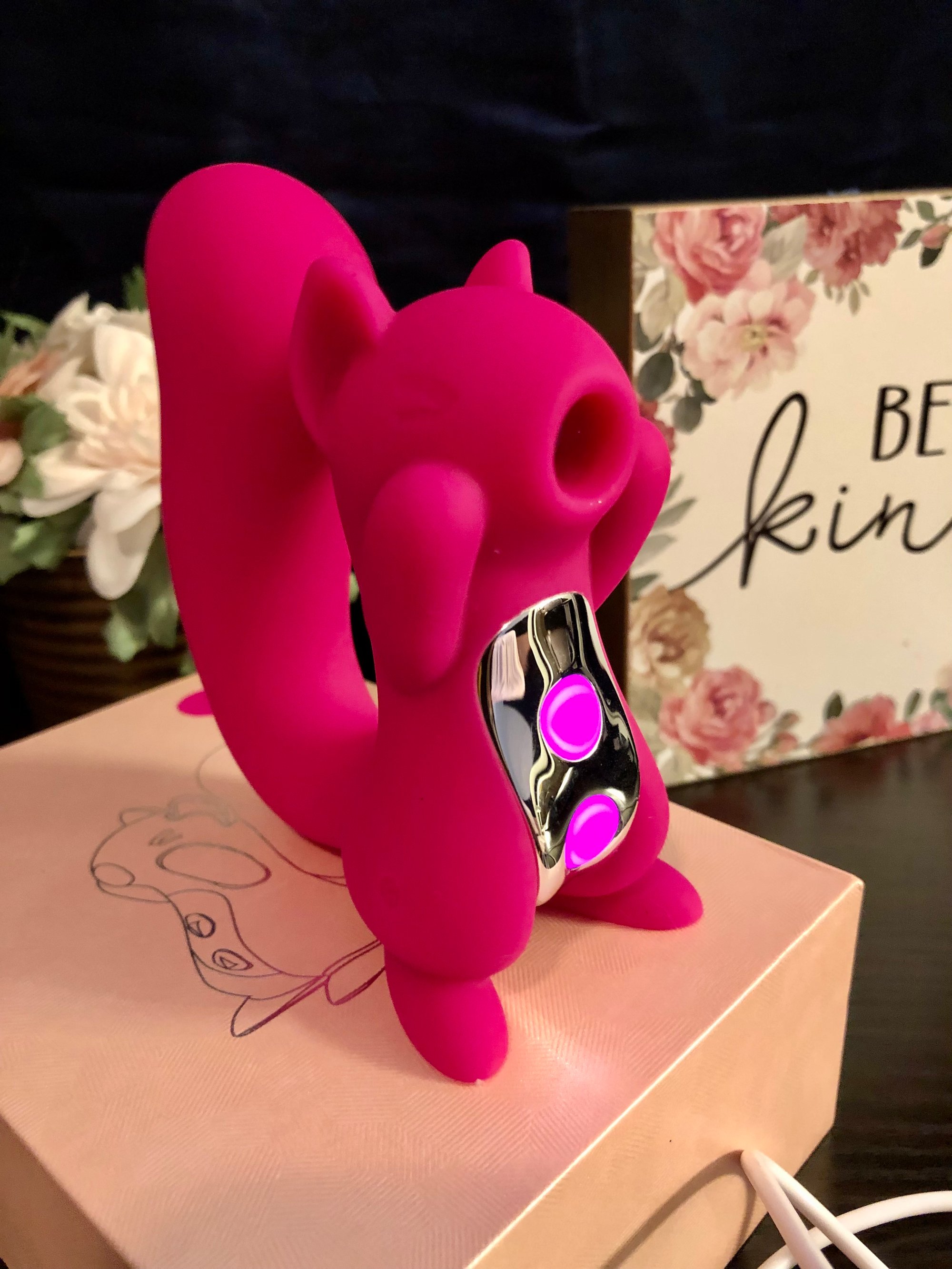The Squirrel | ThyaBeauty The Squirrel | ThyaBeauty