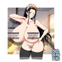 Image 3 of Mega Maid Robin Vinyl Decals