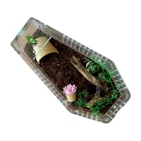 Image 9 of FHOS - Garden