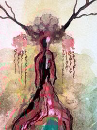 Image 2 of Startwort