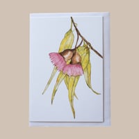 Image 1 of Greeting card - Australian gum blossom